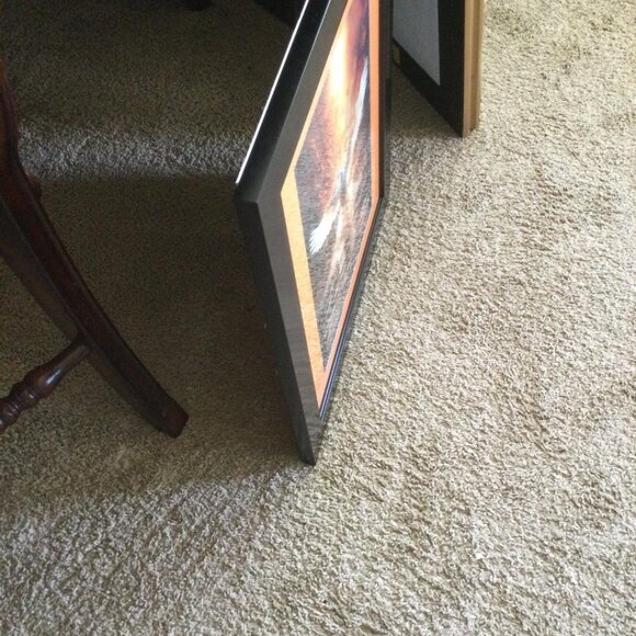 1pc 16x20Frame 12x18 inch Christian Dove Holy Spirit Creation Religious Bird Art - Picture 3 of 5